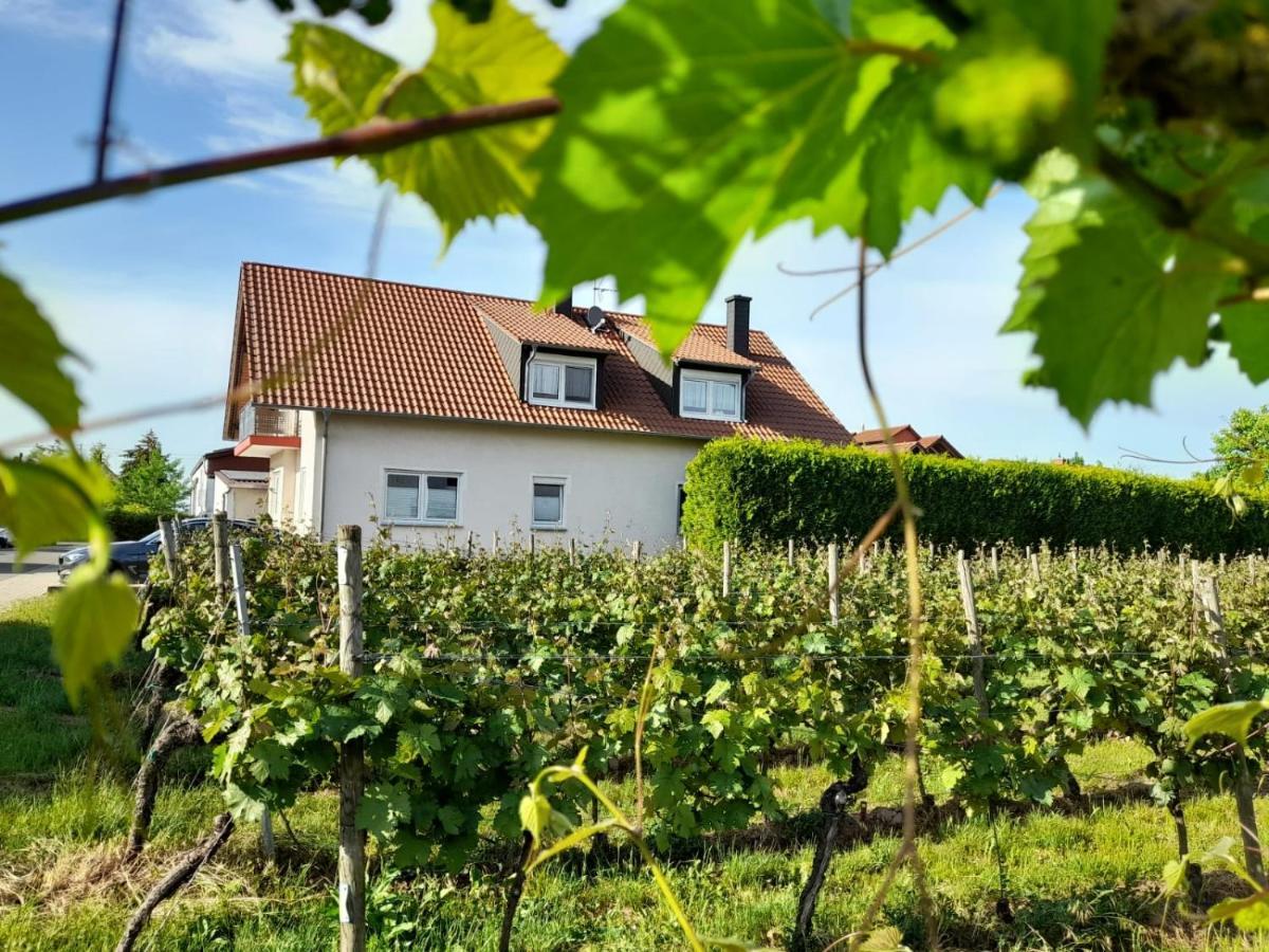 Ferienwohnung Am Schoosberg, Niederkirchen Bei Deidesheim Bagian luar foto